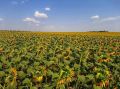 Воздух прогреется до +33 °C в Приморье в пятницу - ПРОГНОЗ