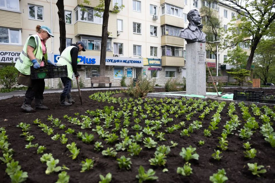 Во Владивостоке продолжают высаживать цветники Во Владивостоке продолжают высаживать цветники