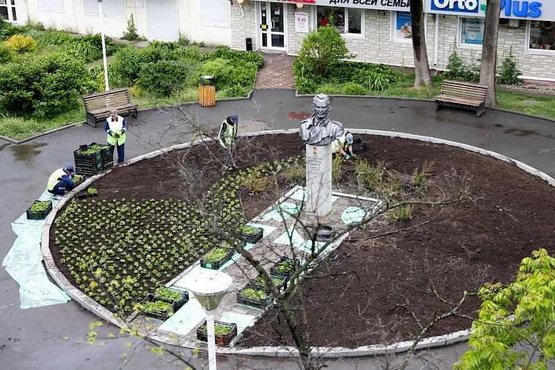 В скверах и на улицах Владивостока высаживают цветы