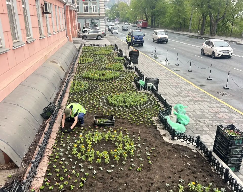 Во Владивостоке продолжают высаживать цветники Во Владивостоке продолжают высаживать цветники
