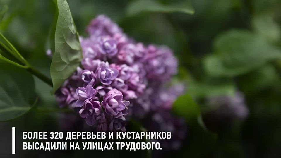 Константин Шестаков: 133 года назад был основан поселок Трудовое