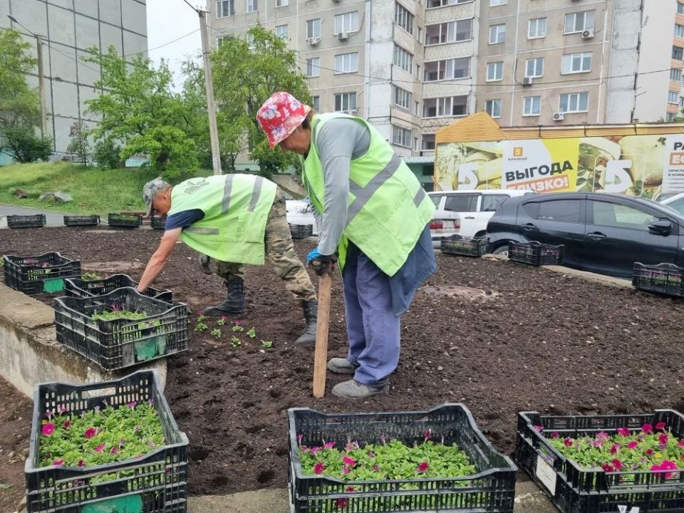 Во Владивостоке продолжают высаживать цветники Во Владивостоке продолжают высаживать цветники