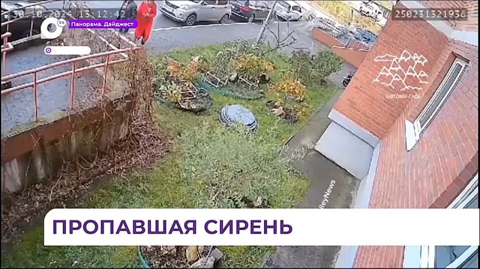 Цветочные вандалы стали настоящей головной болью для городских служб Владивостока
