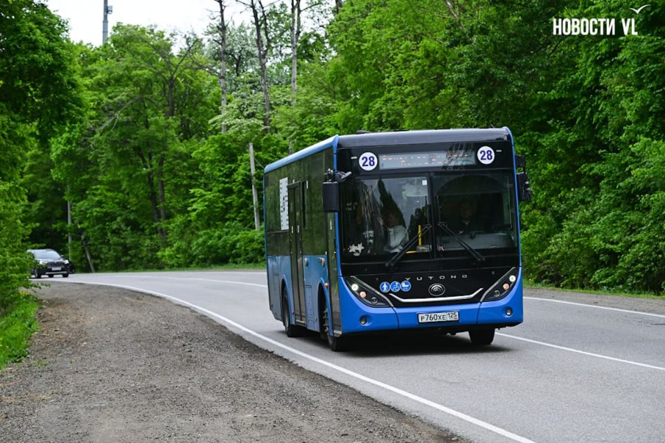 Пляжный автобус: как во Владивостоке добираются до Шаморы на общественном транспорте