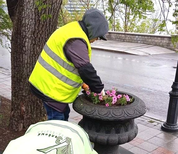 Во Владивостоке продолжают высаживать цветники Во Владивостоке продолжают высаживать цветники