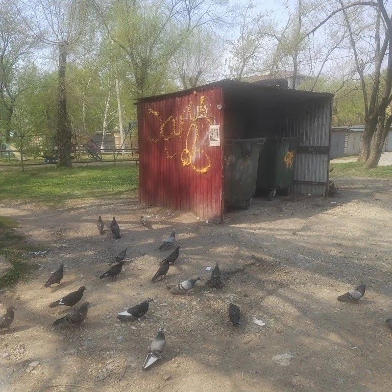 Администрация Уссурийска нашла недочеты в работе УК у мусорных баков Администрация Уссурийска нашла недочеты в работе УК у мусорных баков