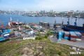 Владивостокский морской торговый порт планирует в 2028-2029 годах досыпать земельный участок в Золотом Роге