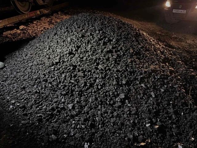 Транспортные полицейские Уссурийска задержали двух братьев при попытке похитить более 2,5 тонн бурового угля