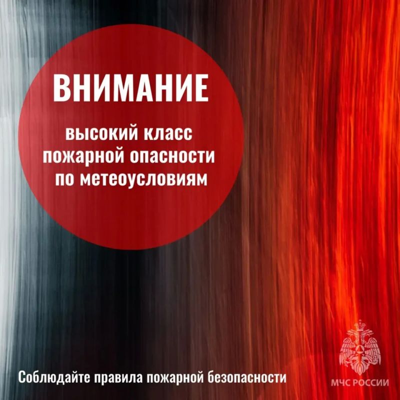 В период с 22 по 25 мая прогнозируется высокий класс пожарной опасности в Приморье