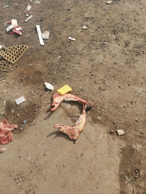 Читатели жалуются на антисанитарию на месте снесённого рынка на Спортивной Читатели жалуются на антисанитарию на месте снесённого рынка на Спортивной