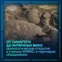 В оманской провинции Северная Аль-Батина обнаружили редкие древние наскальные изображения