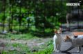 Доброе утро, Владивосток. Утром местами туман