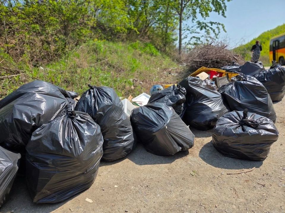 Экологическая акция «Зеленая Весна» помогла очистить лесной массив в Находке Экологическая акция «Зеленая Весна» помогла очистить лесной массив в Находке
