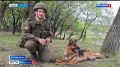 Испытания в городской застройке и лесополосе прошли четырехлапые помощники военных