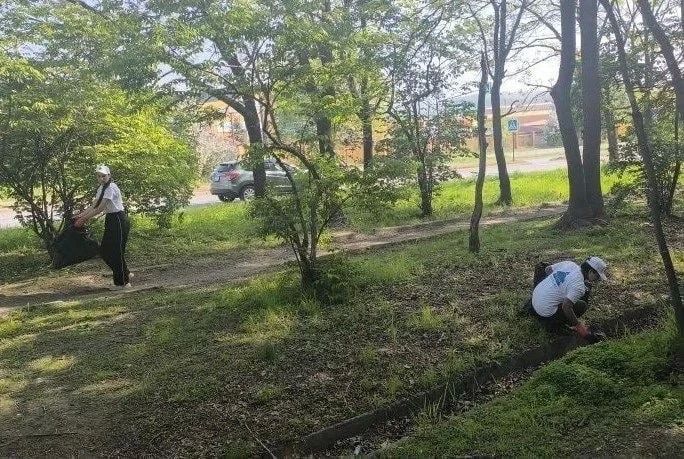 В ходе общегородского субботника прибраны зеленые зоны нескольких районов Находки В ходе общегородского субботника прибраны зеленые зоны нескольких районов Находки