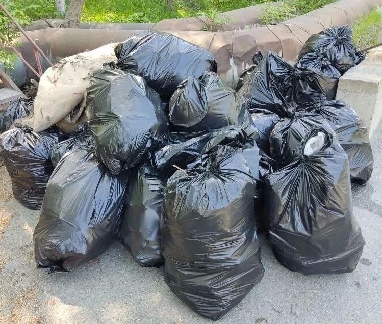 В ходе общегородского субботника прибраны зеленые зоны нескольких районов Находки В ходе общегородского субботника прибраны зеленые зоны нескольких районов Находки