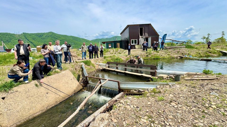 Энергетики Владивостокской ТЭЦ-2 и Партизанской ГРЭС выпустили в реки Приморья мальков кеты Энергетики Владивостокской ТЭЦ-2 и Партизанской ГРЭС выпустили в реки Приморья мальков кеты
