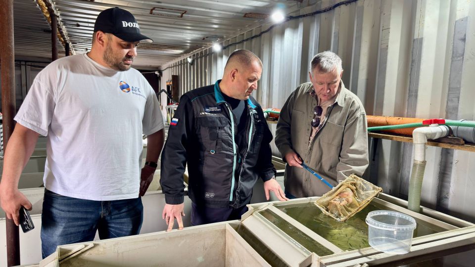 Энергетики Владивостокской ТЭЦ-2 и Партизанской ГРЭС выпустили в реки Приморья мальков кеты Энергетики Владивостокской ТЭЦ-2 и Партизанской ГРЭС выпустили в реки Приморья мальков кеты