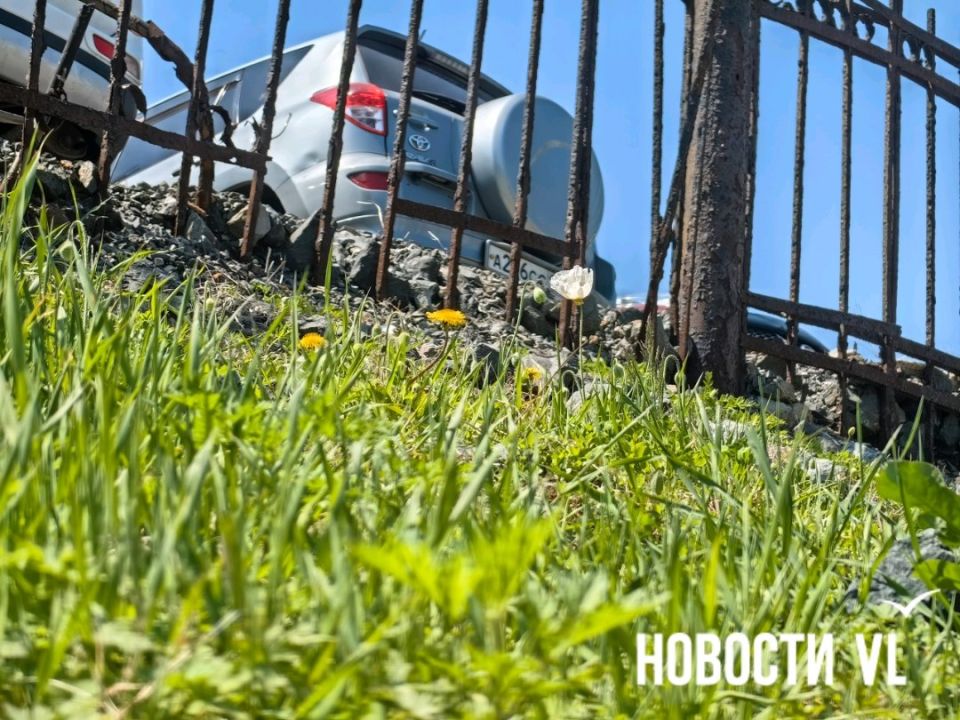В районе водной станции ТОФ зацвели маки В районе водной станции ТОФ зацвели маки