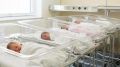 С начала 2026 года в Приморском крае родились 5 413 детей