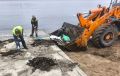 Во Владивостоке начинают готовить пляжи к купальному сезону