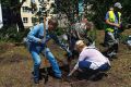 Во Владивостоке стартовал благотворительный проект «Аллея будущего: предприниматели, которые выращивают жизнь»