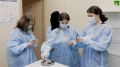 Школьники Владивостока знакомятся с профессией ветеринара