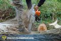 В Дальнегорске вынесен приговор по уголовному делу о незаконной рубке лесных насаждений стоимостью более 1 миллиона рублей