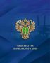 Прокуратура признала законным возбуждение уголовного дела по факту противоправных действий в отношении 14-летнего подростка во Владивостоке