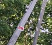Системы видеонаблюдения на контейнерных площадках помогают выявлять тех, кто незаконно свозит туда мусор