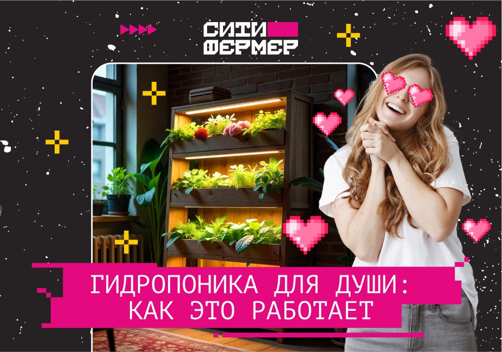 Как гидропоника помогает справляться со стрессом и тревогой