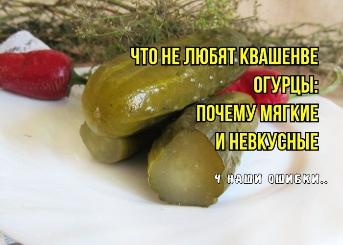 Как избежать распространенных ошибок при закваске огурцов и сделать их хрустящими