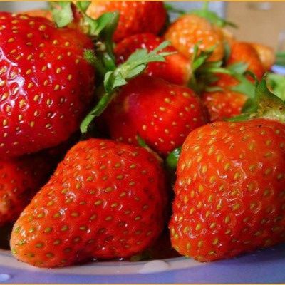 Клубника Любава: уникальный сорт с лесным ароматом