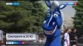 Во Владивостоке растет число жалоб на услуги, которые навязывают прохожим в центре города