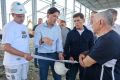 ������ ������������ �������� � ��������� �������� �����