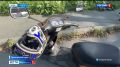 ���������������� �������� ���� ������� � ������ �� ������ ������ ����� �� ������� ���� ���������������� ��� ������ 40 ��� � �������� ������������������