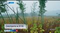 Глобальное потепление дошло до Приморья