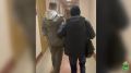 Сегодня первое июля и традиционно начало месяца приносит целый пакет законодательных новшеств