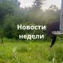 Материалы недели от Новостей VL, которые вы могли пропустить: