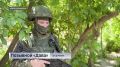 Воины группировки «Восток», а это в большей степени наши земляки-дальневосточники сообщают об освобождении села Ровное в Запорожской области