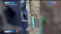 Ювелирнуюспасательную операцию провели во Владивостоке