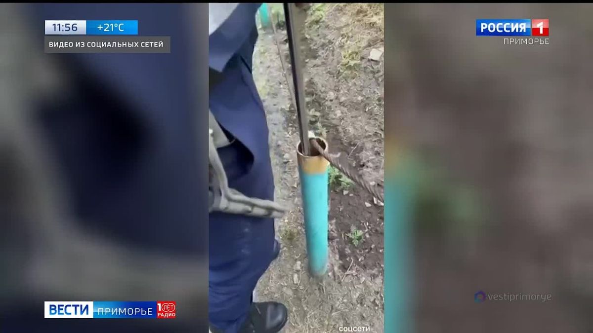 Ювелирнуюспасательную операцию провели во Владивостоке