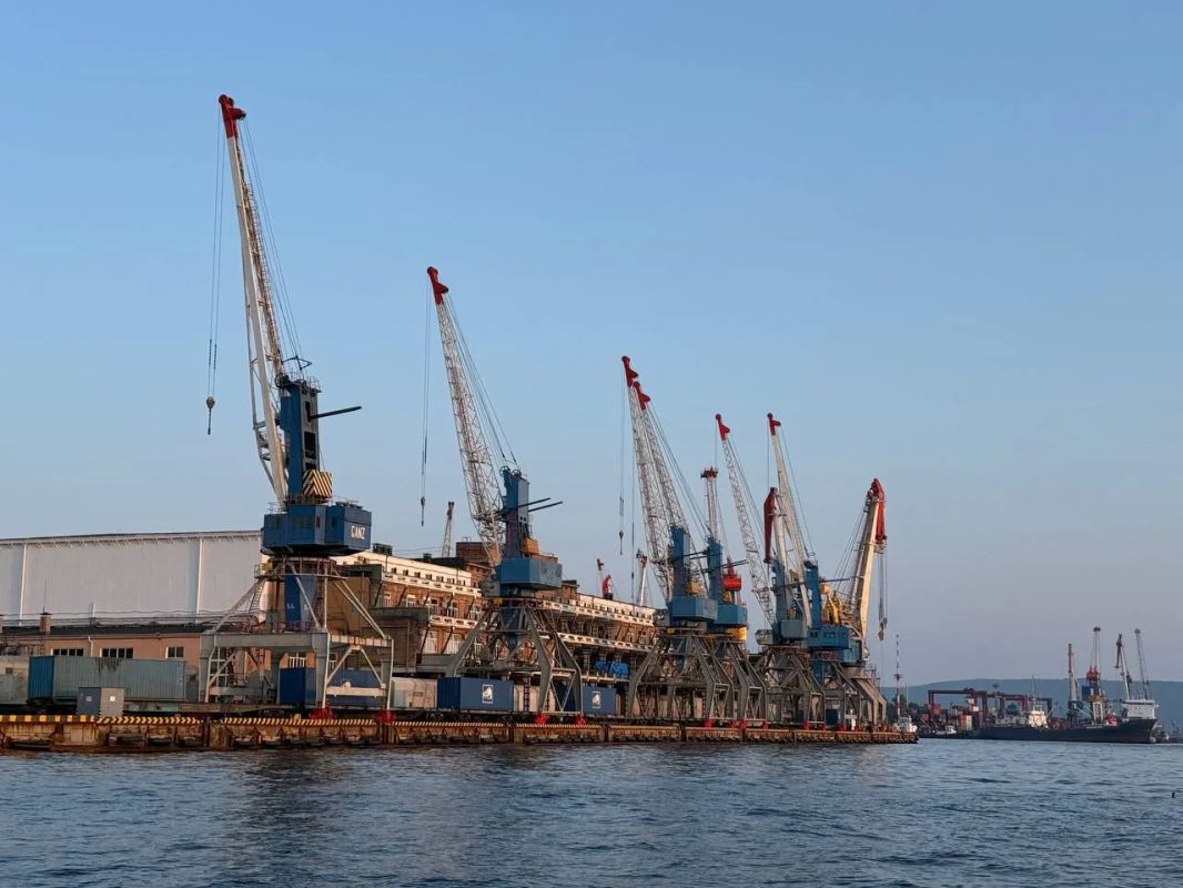 Экс-губернатор Приморья вернулся в совет директоров ВМРП