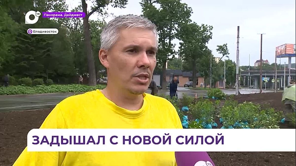 Владивосток преобразился. На улицах появились больше тысячи деревьев и кустарников