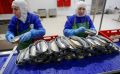 Хороший пример роста приморского бизнеса — ООО «Восток Продукт» из пгт Кировский