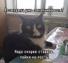 �������� ����� ��� ���!. ��� � �����������, 12-�� ����, �� ������ ����� ����������� ������ ��������� ������� ����� �������: