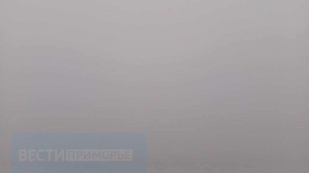 Жители Владивостока, похоже, официально перешли в режим «город в облаке»