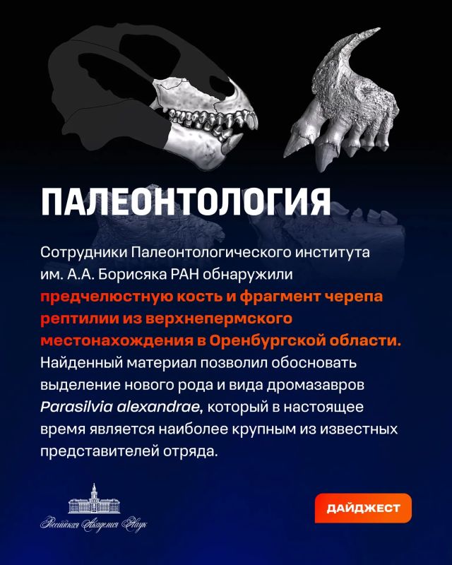 О самых интересных открытиях российских ученых за неделю по версии Минобрнауки России, РАН и РНФ — смотрите в карточках О самых интересных открытиях российских ученых за неделю по версии Минобрнауки России, РАН и РНФ — смотрите в карточках