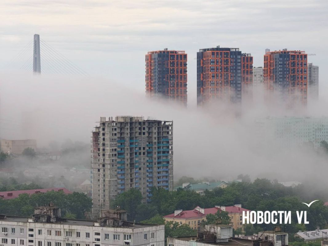 Сегодня очень красивый туман Сегодня очень красивый туман