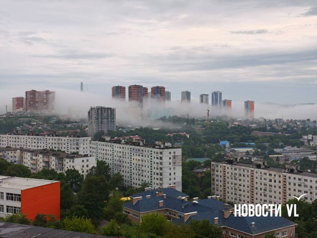 Сегодня очень красивый туман Сегодня очень красивый туман